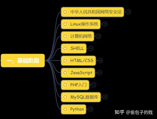 這才是CSDN最系統(tǒng)的網(wǎng)絡(luò)安全學(xué)習(xí)路線 建議收藏 網(wǎng)絡(luò)與信息安全軟件開發(fā)